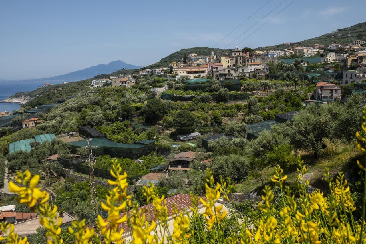 Neva Suites Massa Lubrense Sorrento Coast Exteriér fotografie