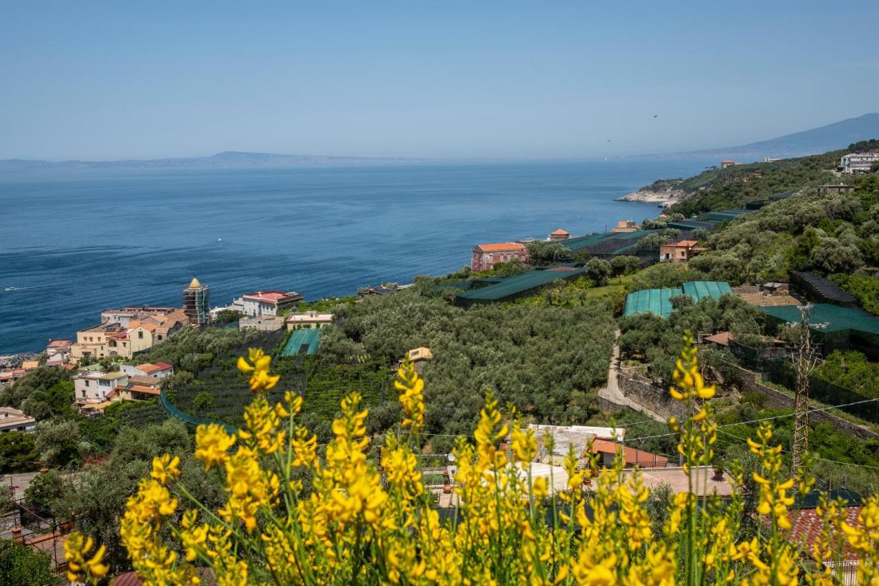 Neva Suites Massa Lubrense Sorrento Coast Exteriér fotografie
